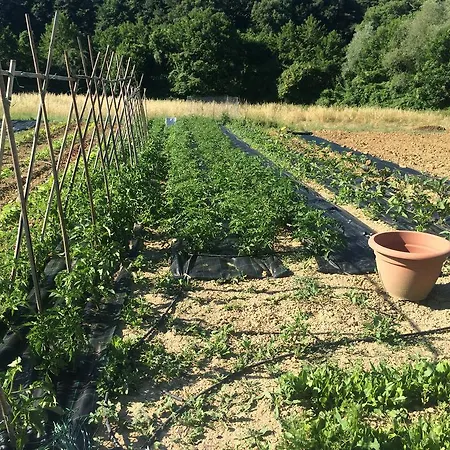 Feriegård Agriturismo L'oca Blu Gubbio