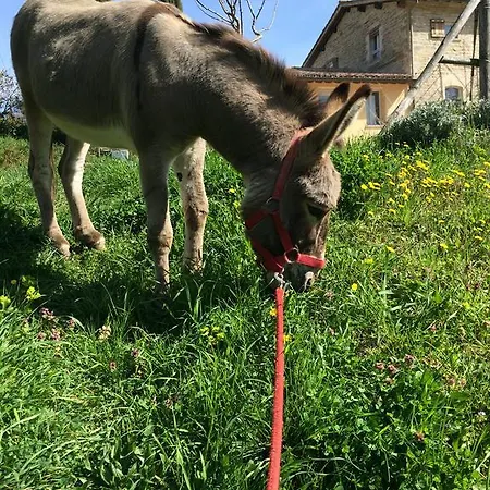 Feriegård Agriturismo L'oca Blu *