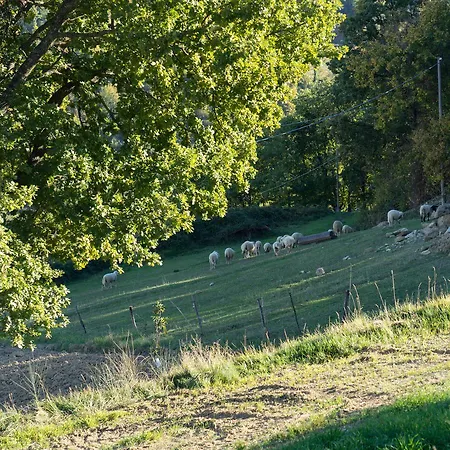 Agriturismo L'oca Blu Feriegård *